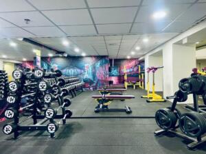 fitness centrum bratislava stare mesto